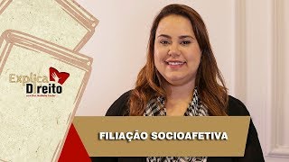 Explica Direito Filiação Socioafetiva  2019 [upl. by Aidne]