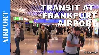 TRANSIT WALK AT FRANKFURT Airport FRA Terminal 1  Connection Flight Transfer Arriving amp Departing [upl. by Barclay]